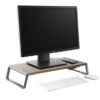 Wood Grain Monitor And Laptop Stands With 4 USB Charge