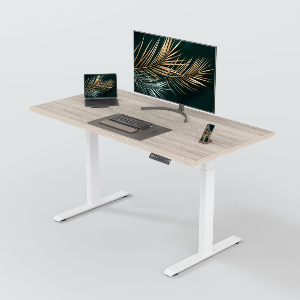 Dual Motor 2-stage Standing Desk Frame