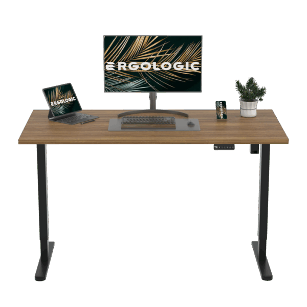 Brushless Single Motor Height Adjustable Desk Frame